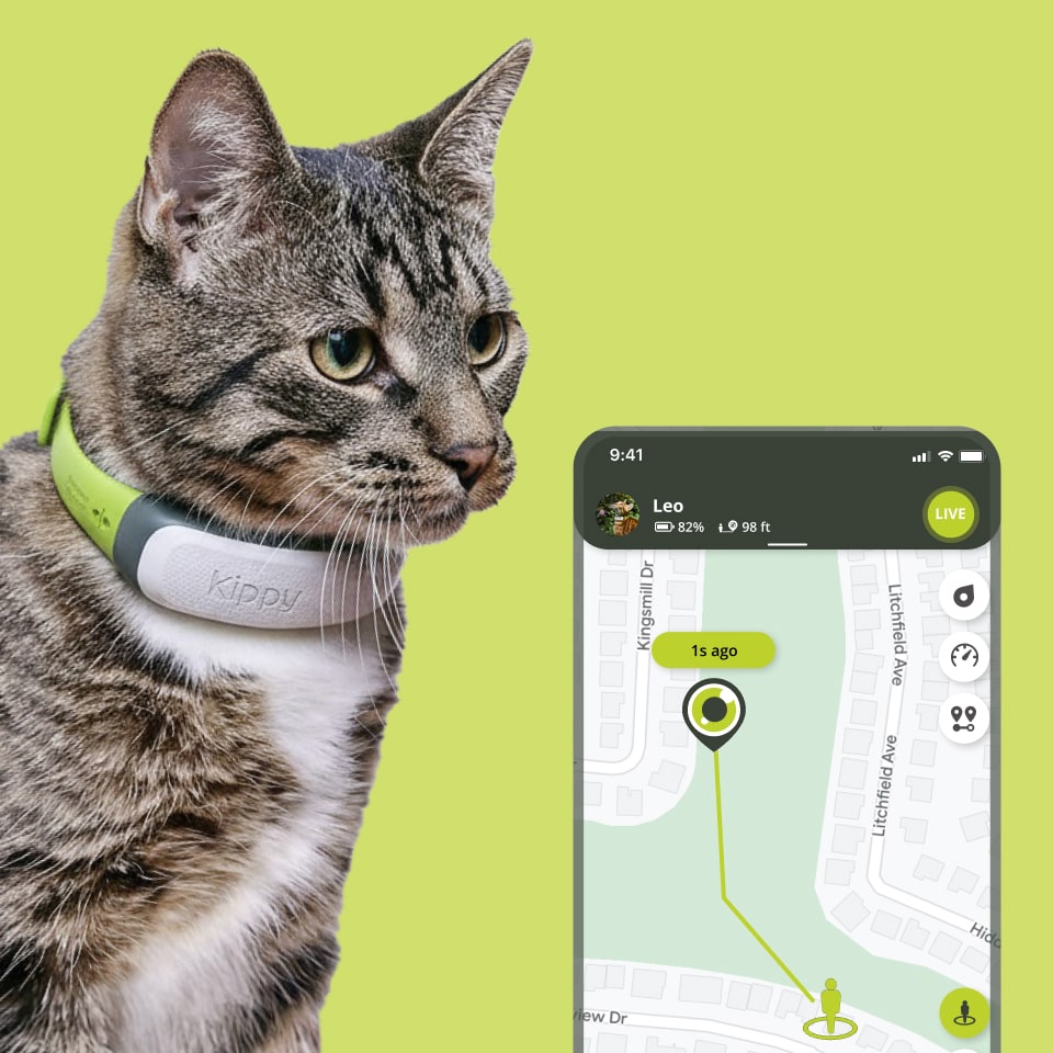 Kippy CAT Localizzatore GPS