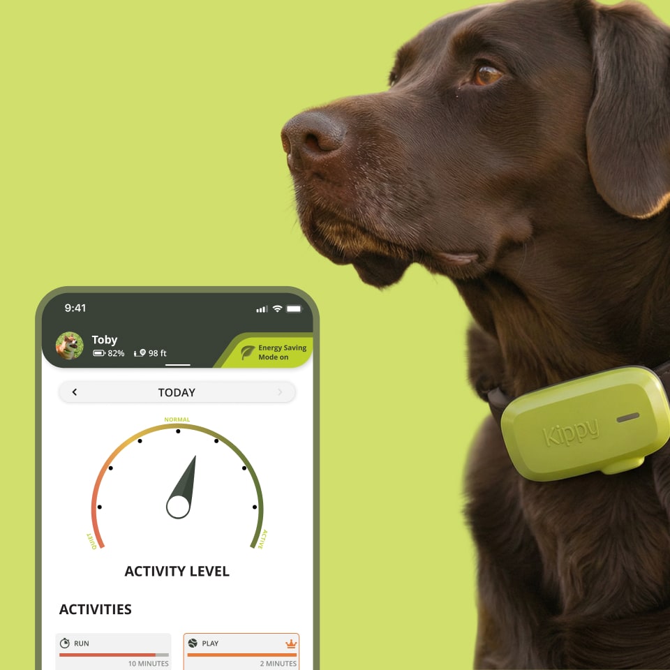Traceur GPS Kippy Dog