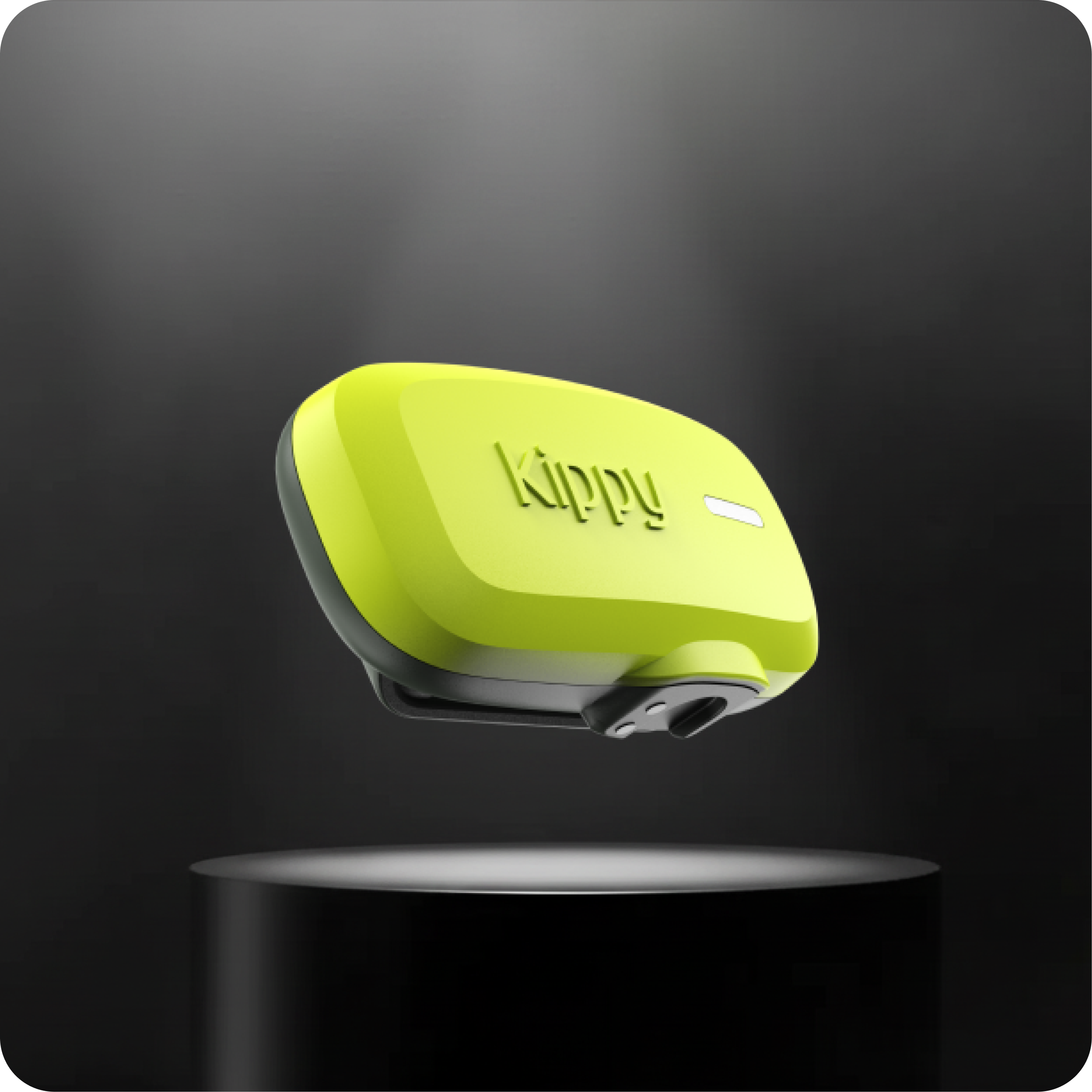 Traceur GPS Kippy Dog