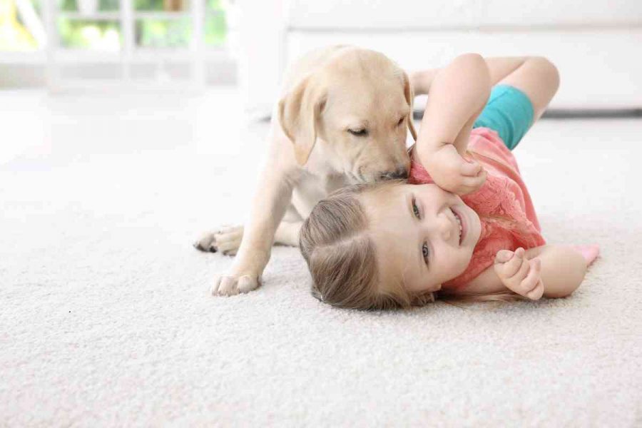 2 Qual è il miglior cane per i bambini? Consigli per una scelta consapevole