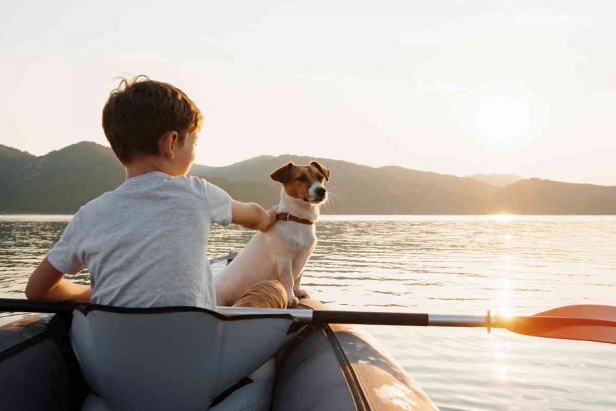 Qual è il miglior cane per i bambini?