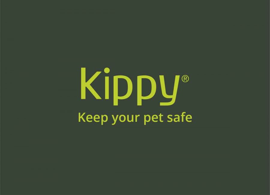 Le più belle frasi sui cani e i migliori aforismi da salvare e condividere scelti da Kippy