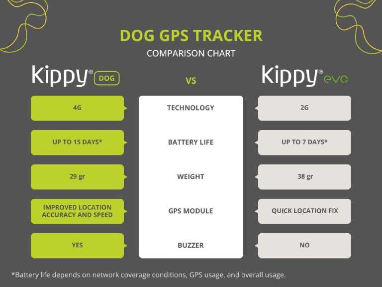 Kippy dog VS kippy evo full feature guide