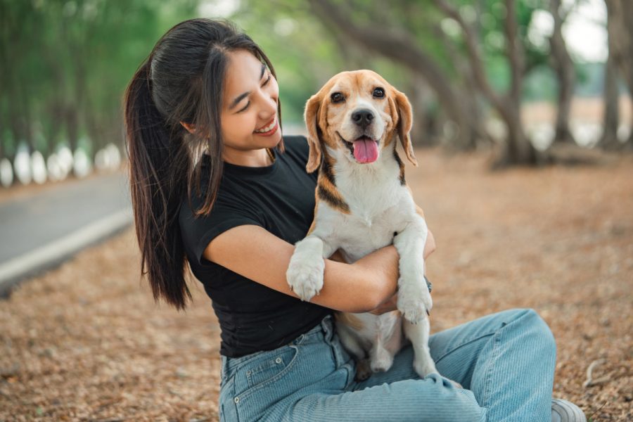 Woman holding a beagle dog