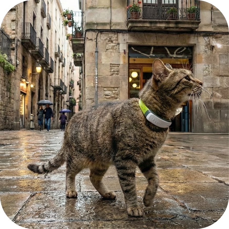 Kippy CAT GPS-Tracker