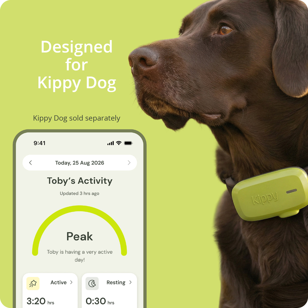 Everything your Kippy Dog needs, in one kit.