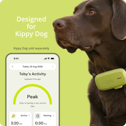 Everything your Kippy Dog needs, in one kit.