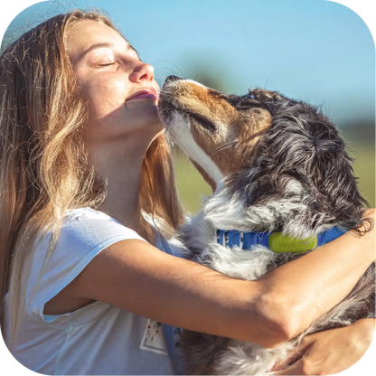 Kippy Hund GPS Tracker